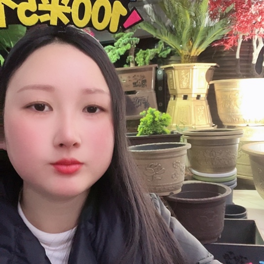 复合盆景估计就去