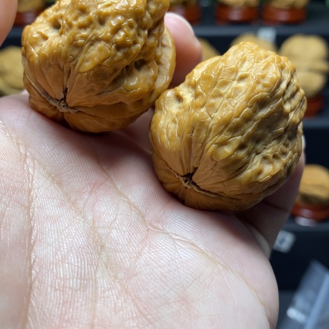 把件文玩核桃39龙脊妖蟾