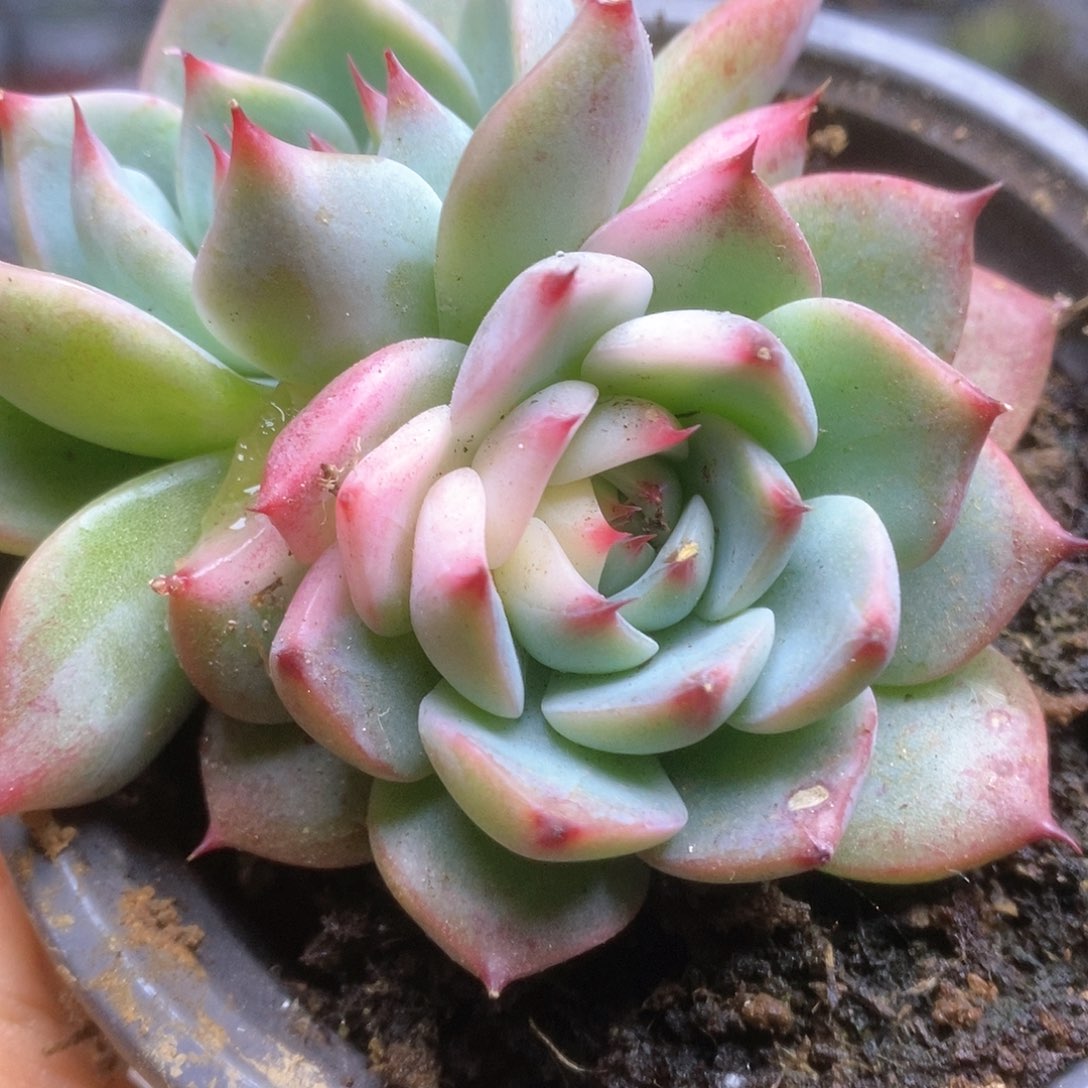 D014哈哈哈哈哈哈哈哈