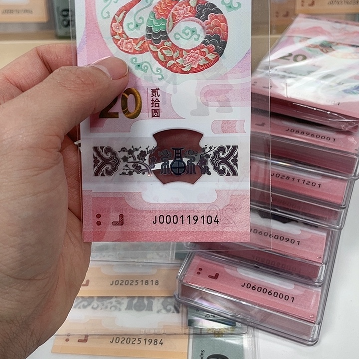 塑料蛇钞-9104—————————