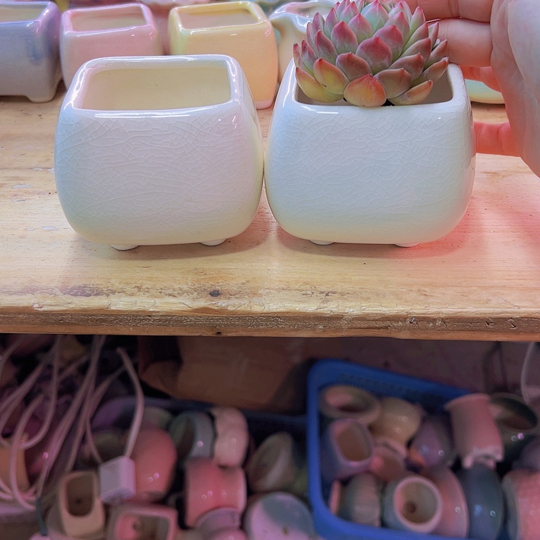 陶瓷花盆当场凑满12包邮