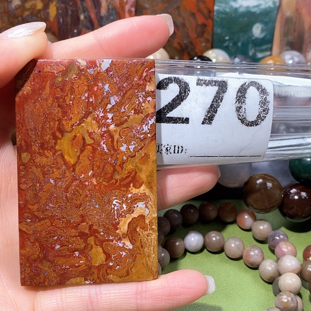 未镶嵌天然北票树化玉吊坠硅化玉