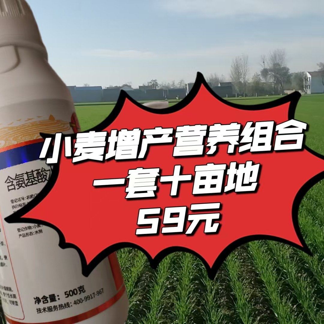 小麦生根壮苗营养增产组合