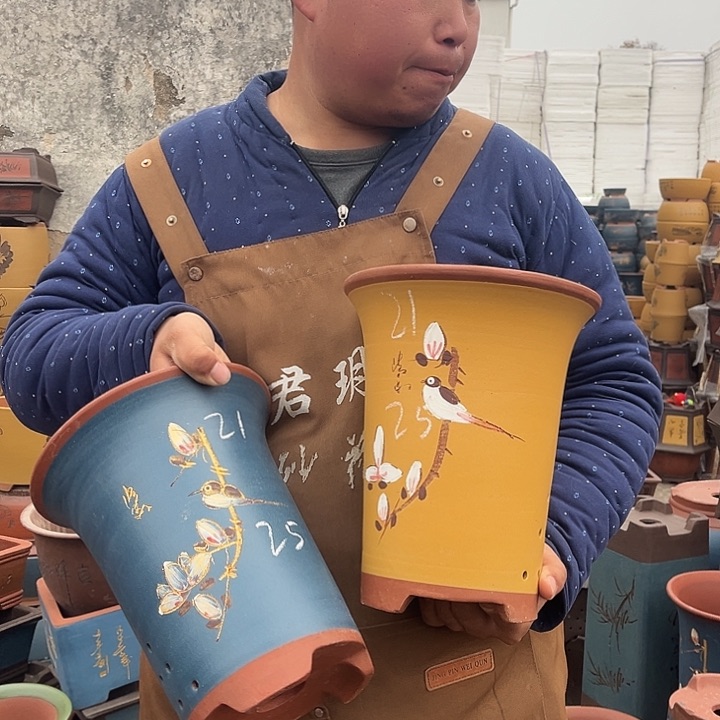 紫砂紫砂花盆盆栽