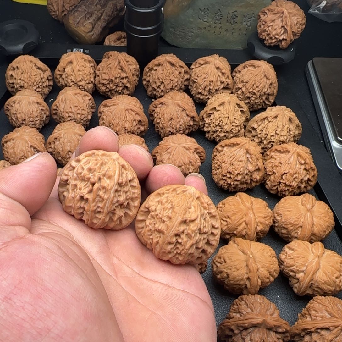 39尺白狮子微黄尖