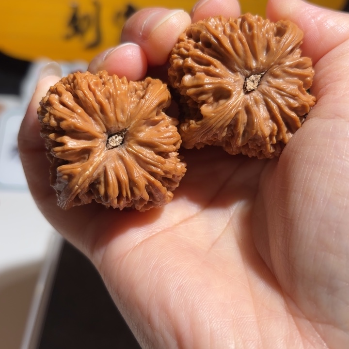 骑***牛大叶紫檀（黑酸枝木类）