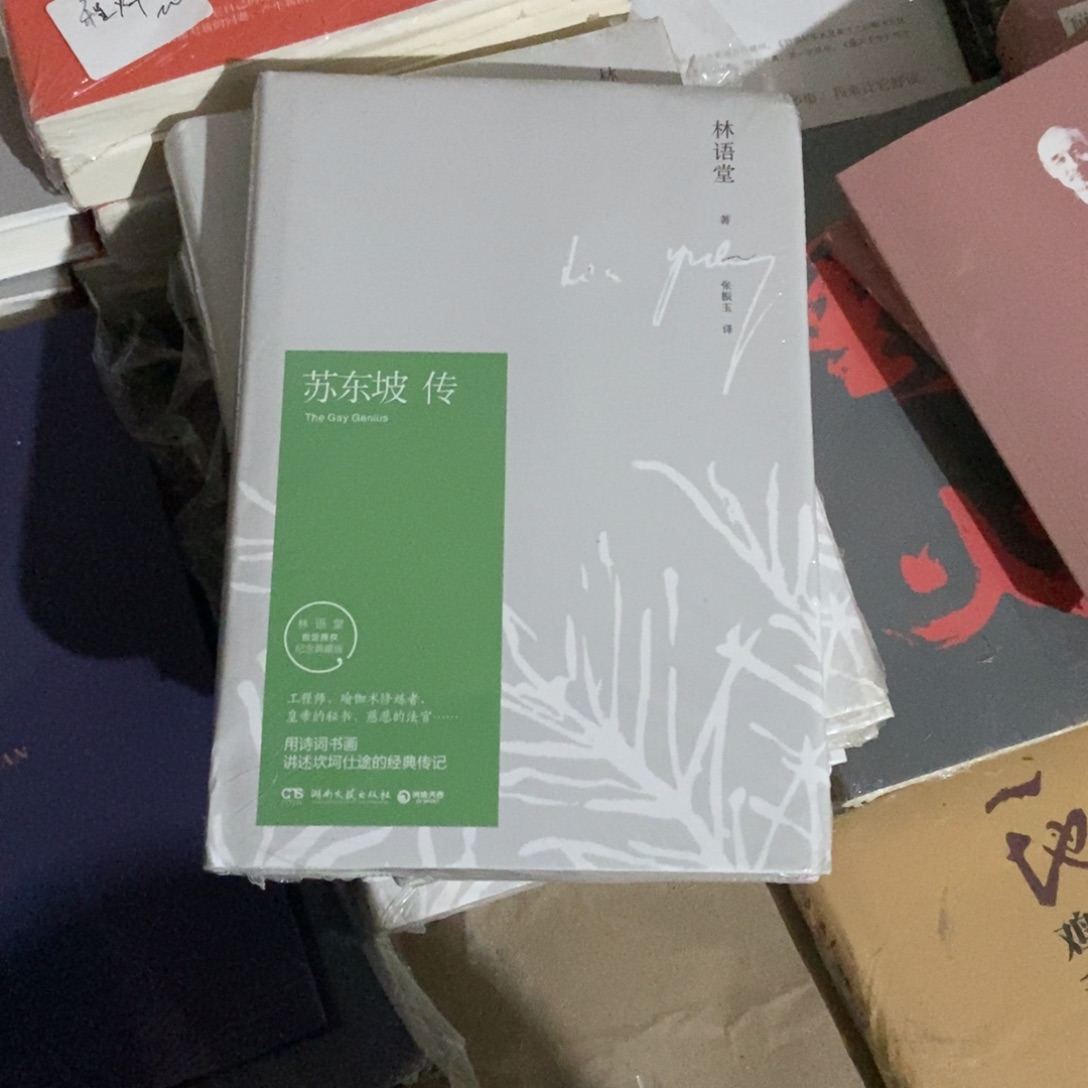 苏东坡传苏东坡转