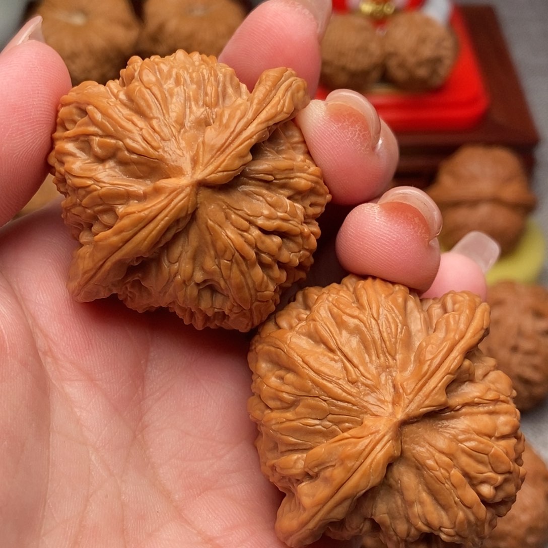 把件文玩核桃45.5全品毕业白狮子