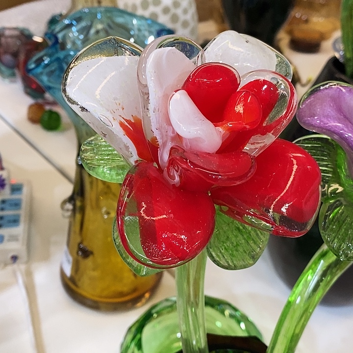 夜光花高45厘米宽12厘米