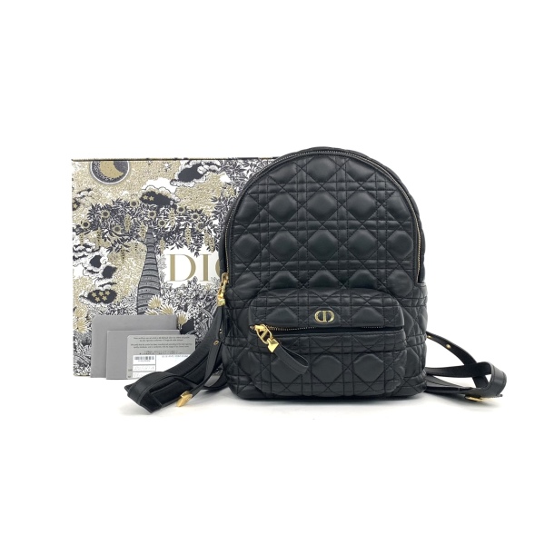 95新/包包/迪奥/250216EL0010