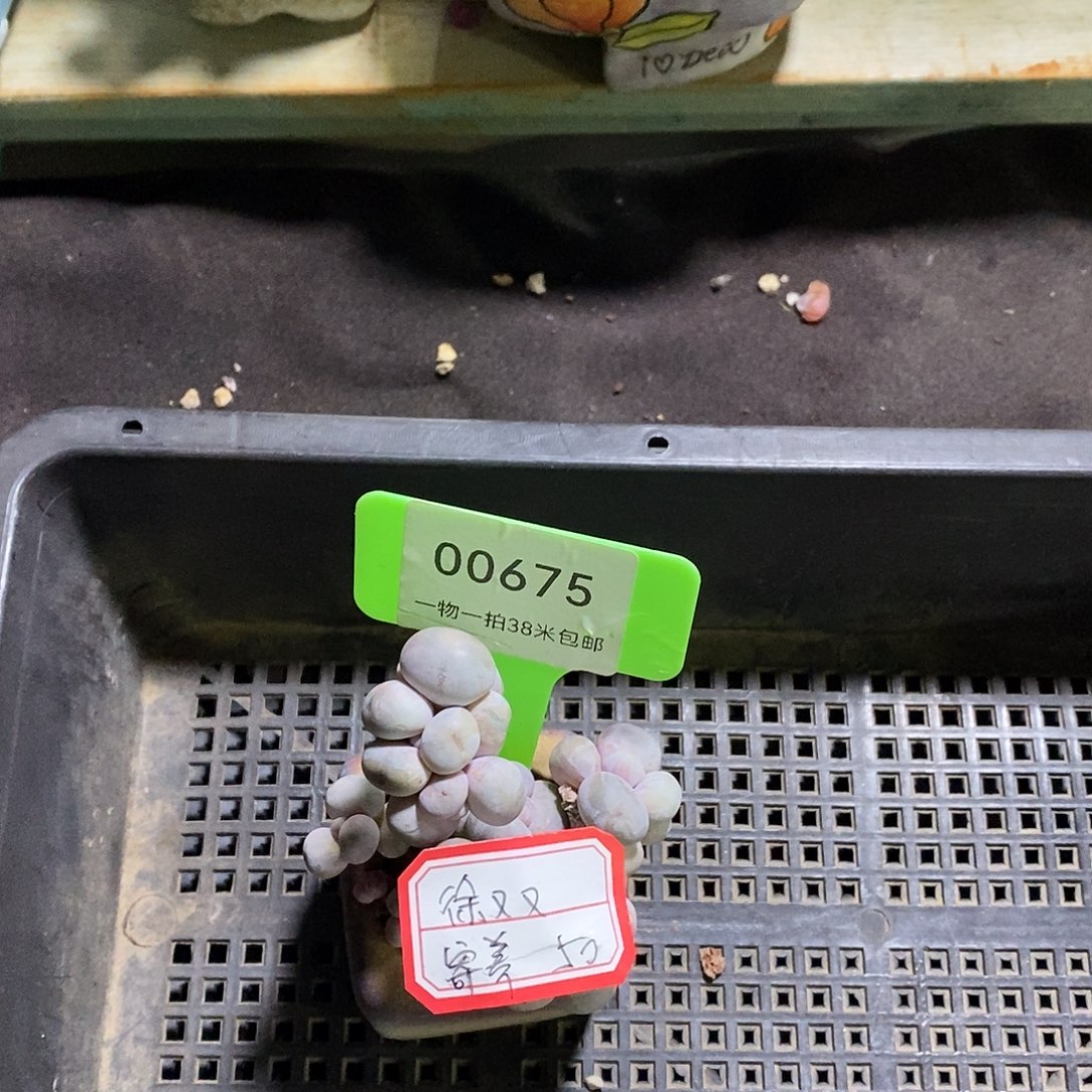 徐***又00675奥就我哦组图咯哦姐姐