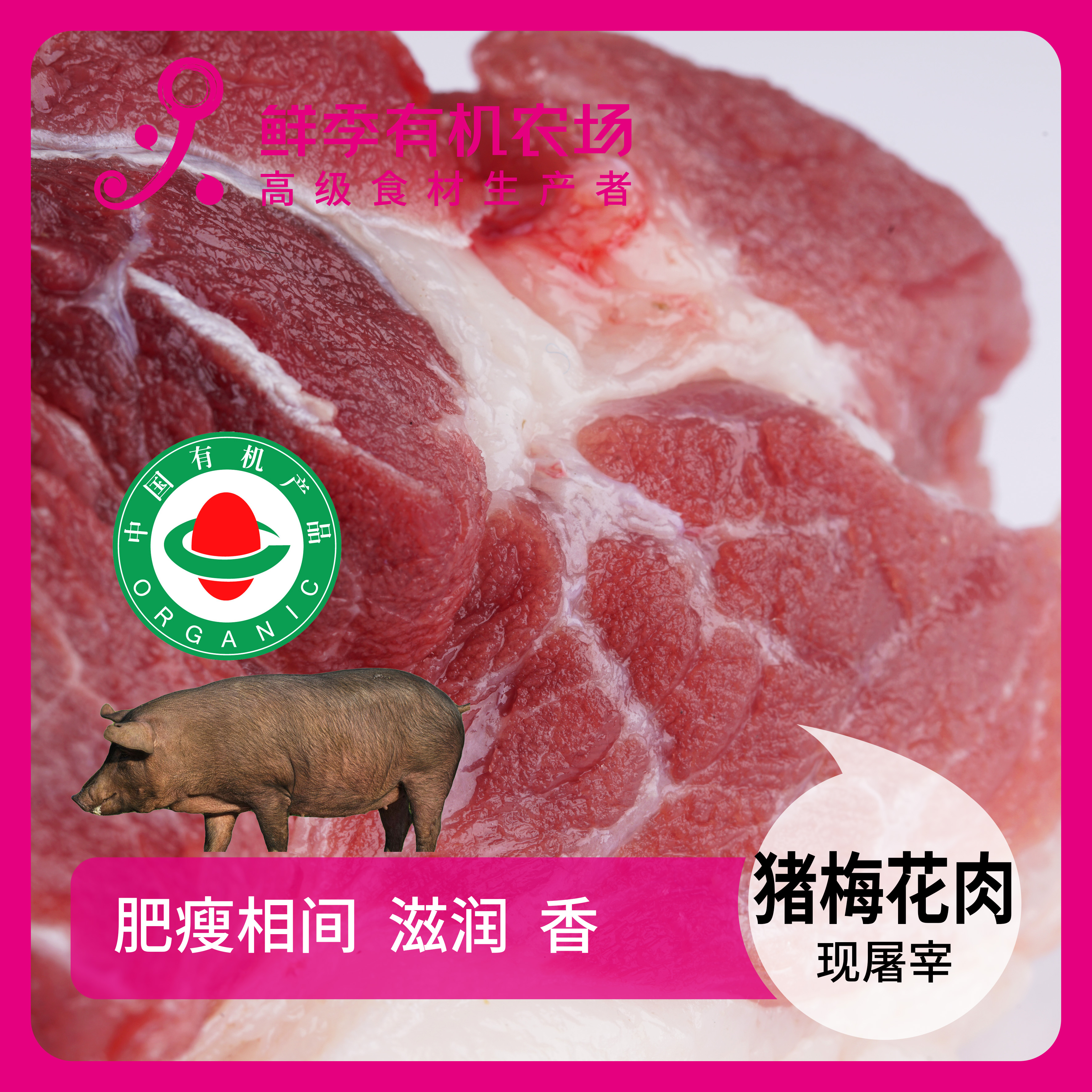 鲜季全自产 有机猪梅花肉500克 黑猪 鲜肉非冻品/空运