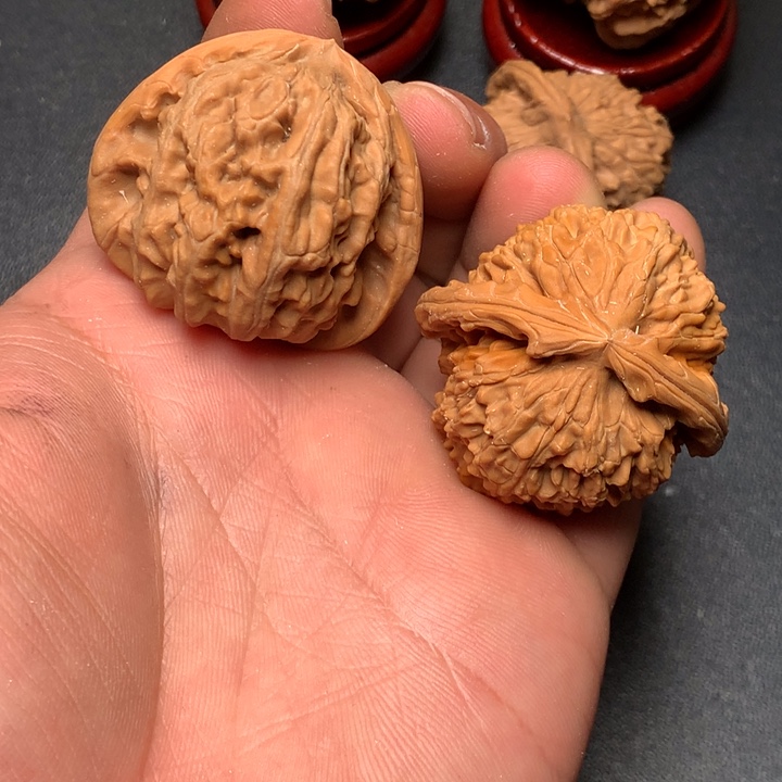 把件文玩核桃40白狮子884