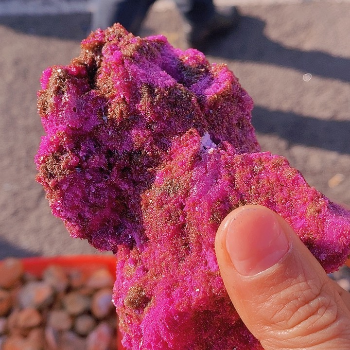 【闪购商品】烟晶手链银S925镶嵌水晶