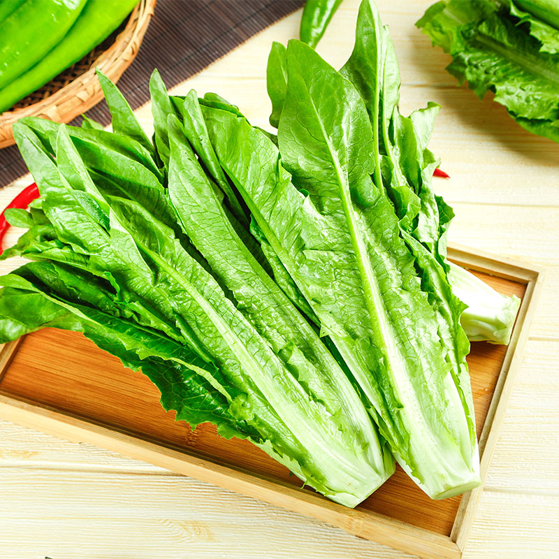 夏商优选高原油麦菜约400g