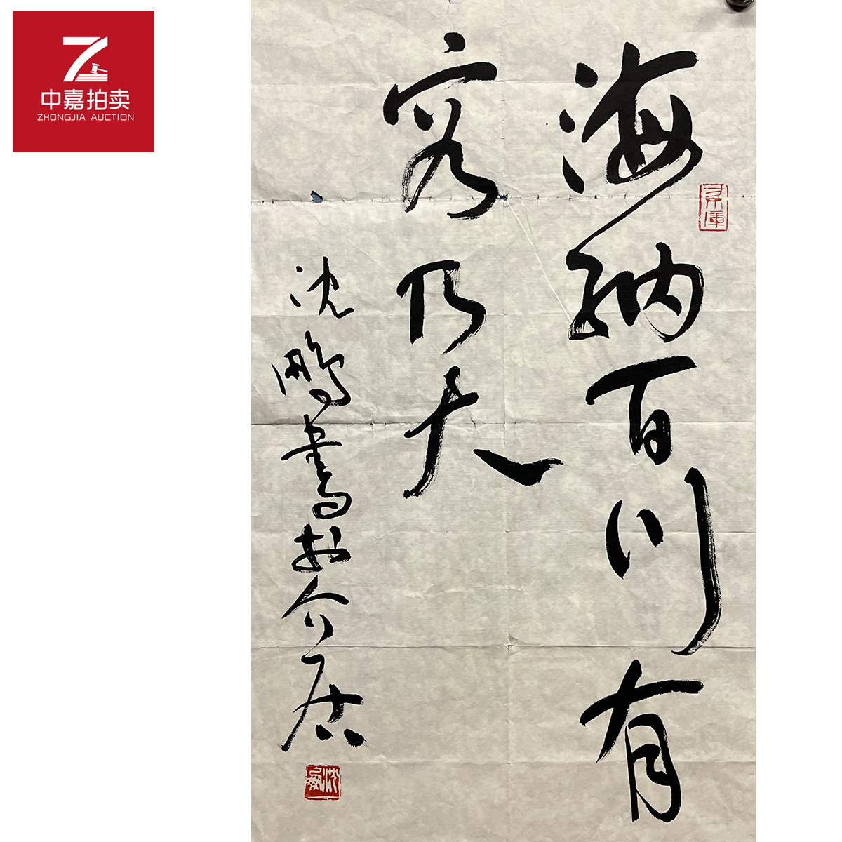 沈鹏书法软片海纳41x69