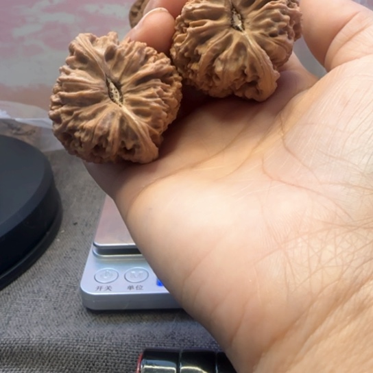 文玩核桃吊坠黎**樾核桃