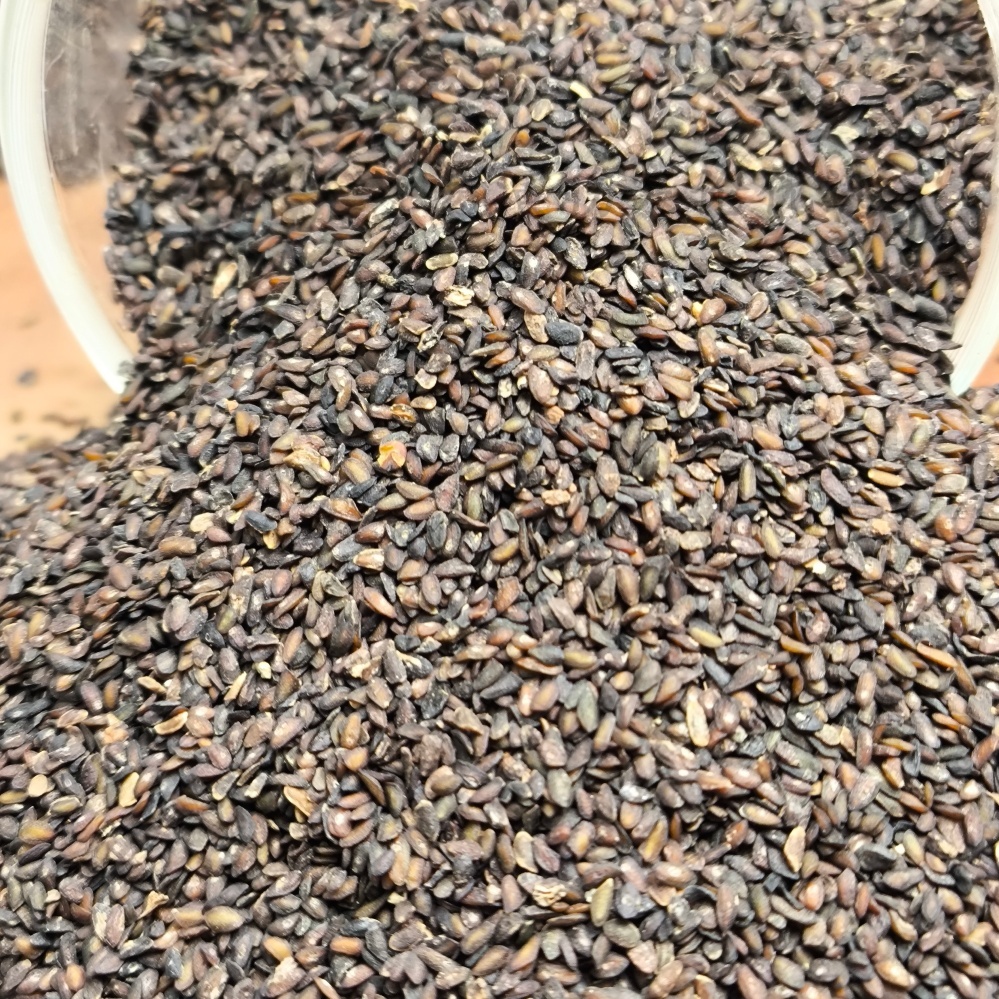 车前子需要包煎伤寒论经方常用易演伤寒论优选刘越选货