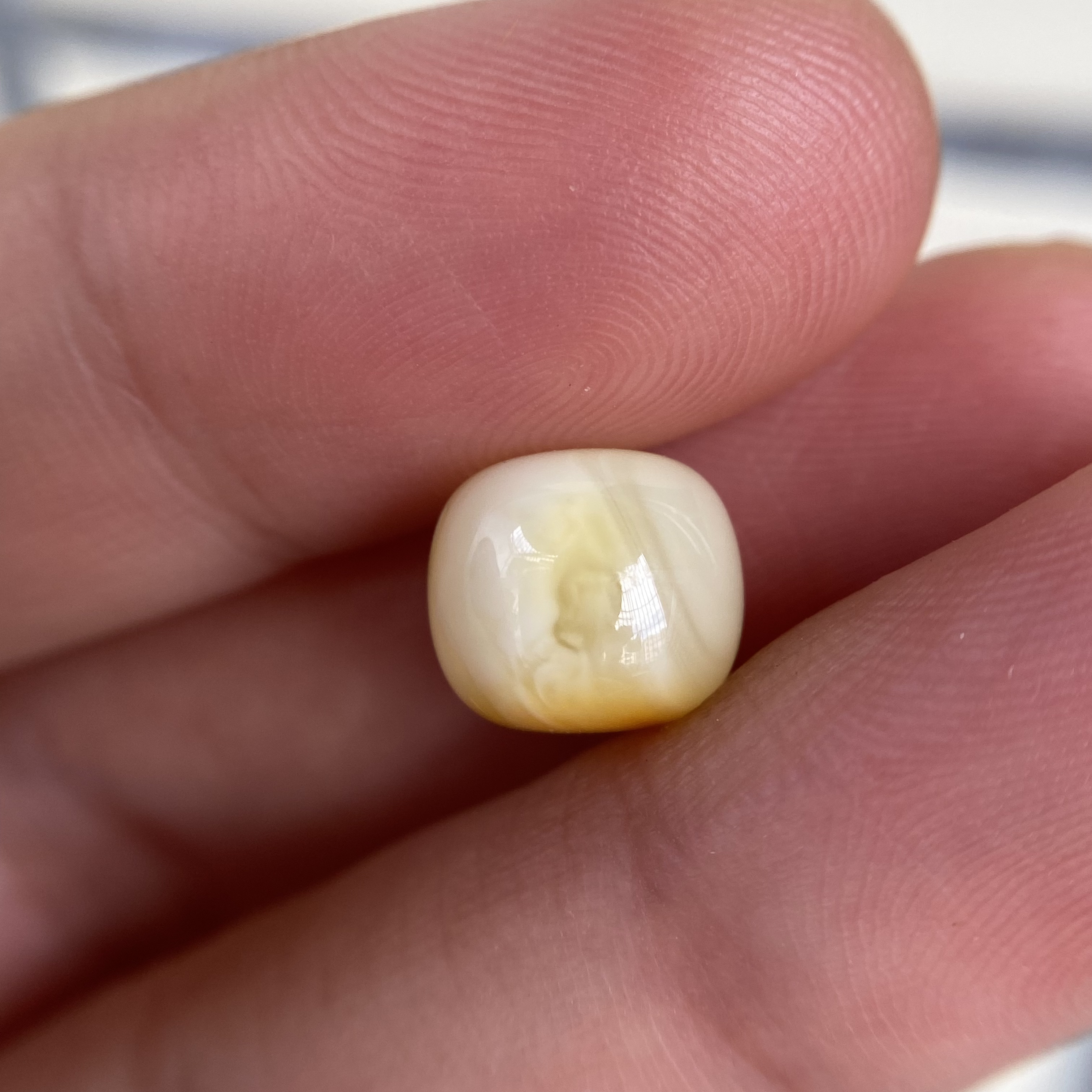 蜜蜡微沁老型配饰9.5×8.5mm，清货不退不退，有点植物点，介意勿拍
