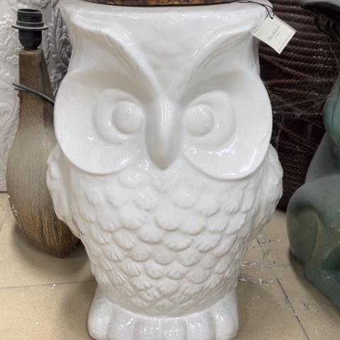 瓶瑕疵。。。。。。。。。。。。。。。。。。。。。