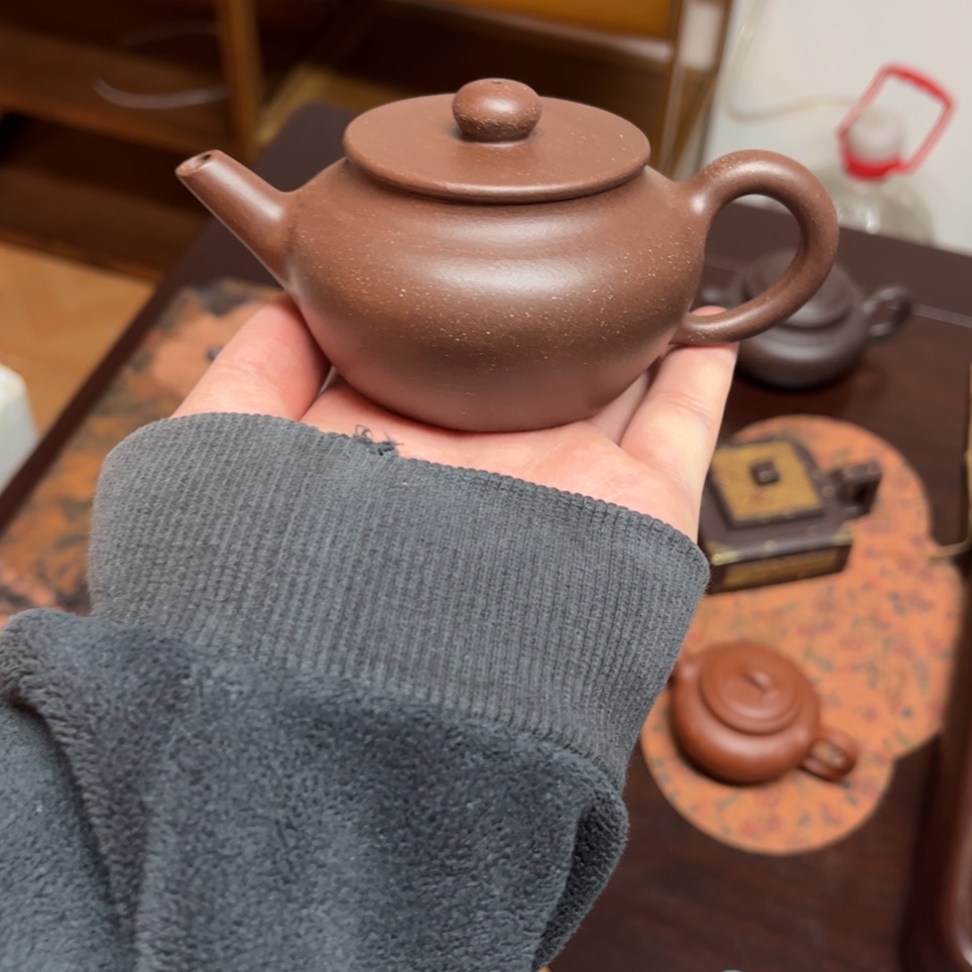 蔡***亮紫砂茶壶平盖水平