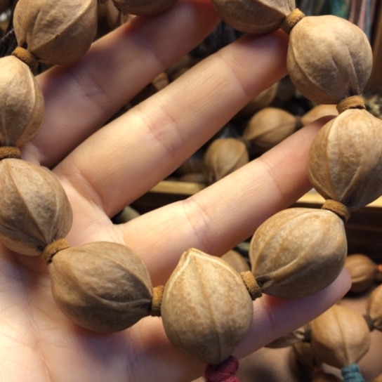 橄榄核手串/手链➰****?2026，111111