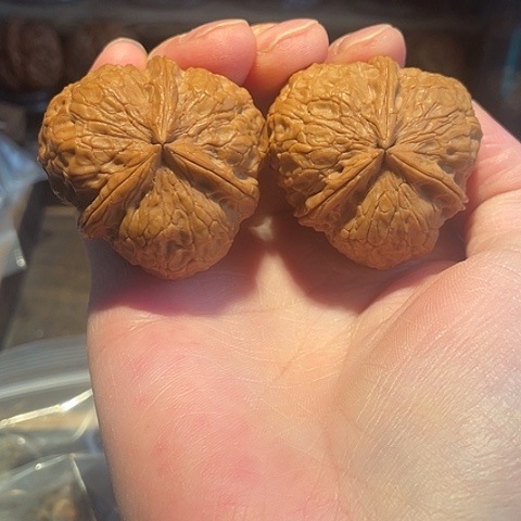 文玩核桃把件大三棱带彩42