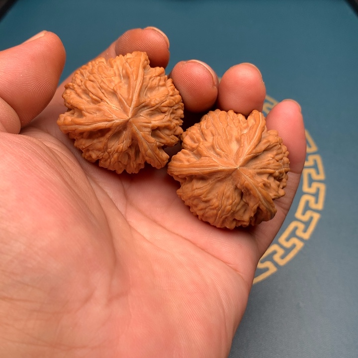 把件文玩核桃御龙粗筋奔