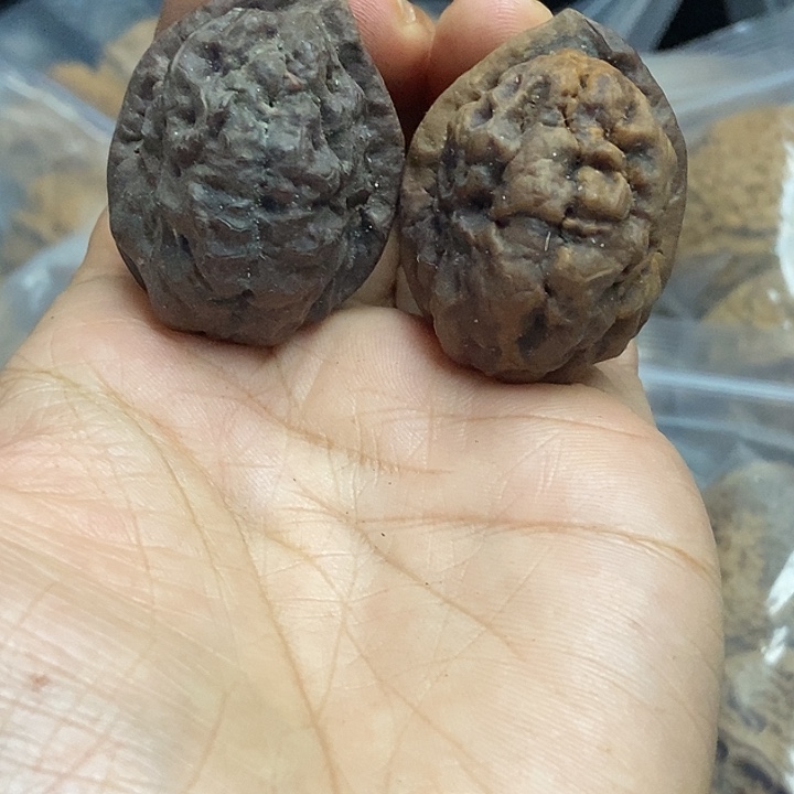 文玩核桃把件云南铁核桃基地93