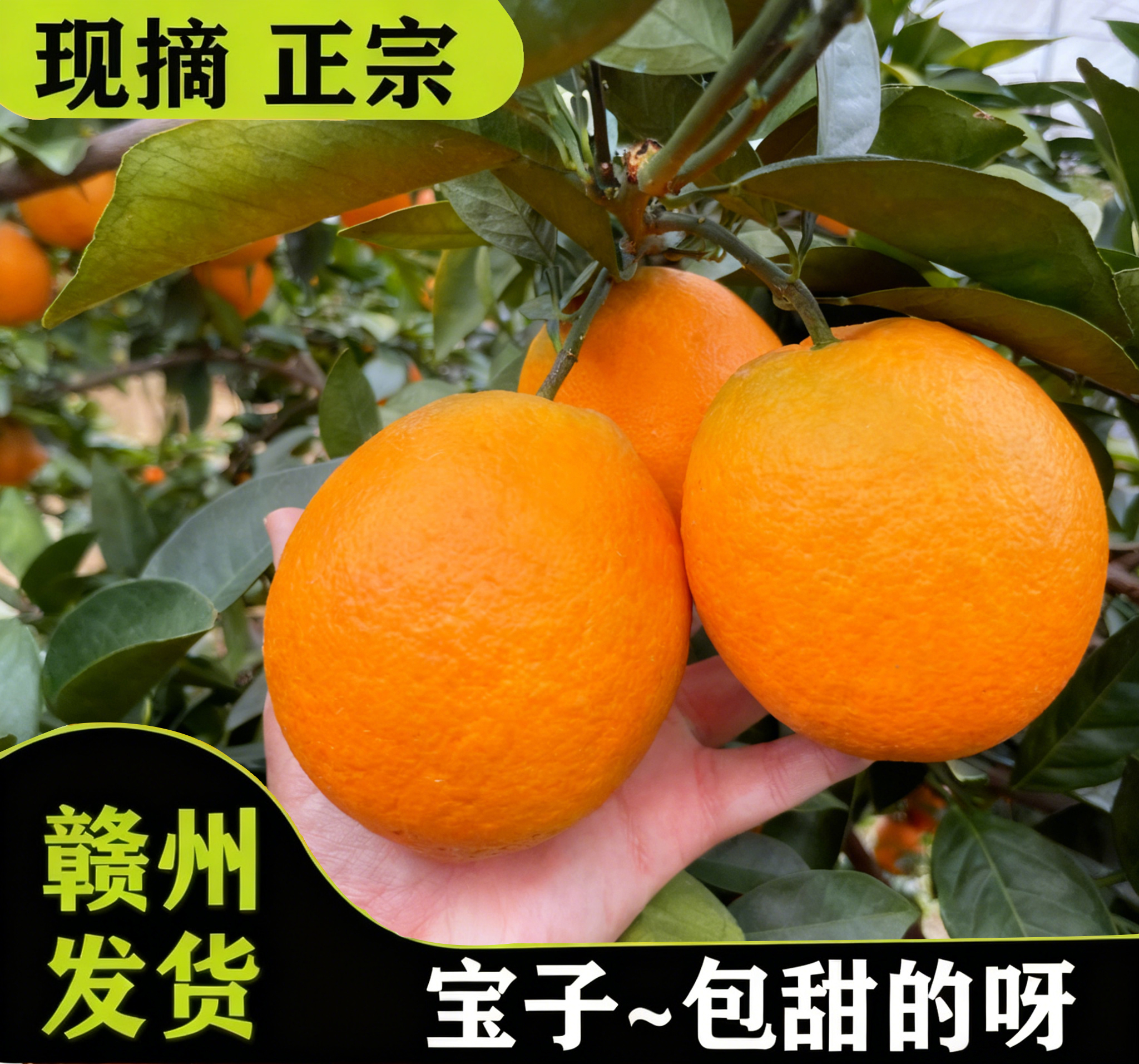  新鲜正宗江西赣南脐橙10斤大果现摘孕妇水果当季整箱甜橙剥橙子