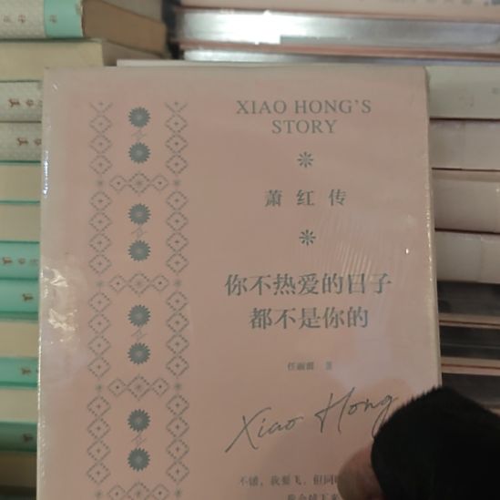 萧红传，你不热爱的日子都不是你的，银色刷边。