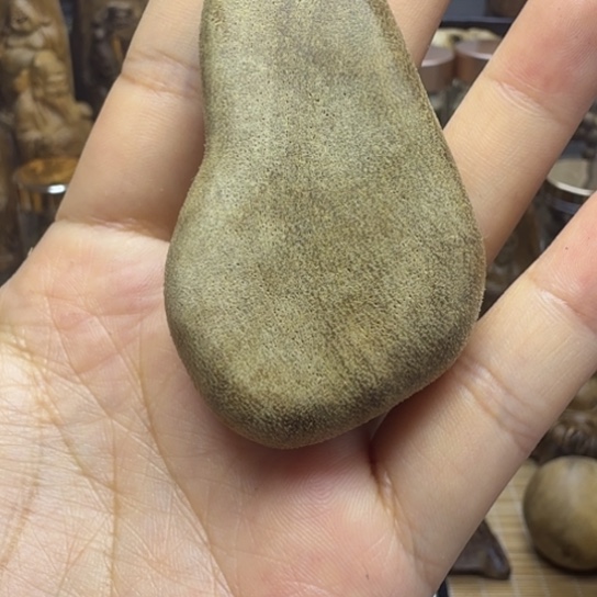 沉香碎屑沉香柬埔寨 10.9 克