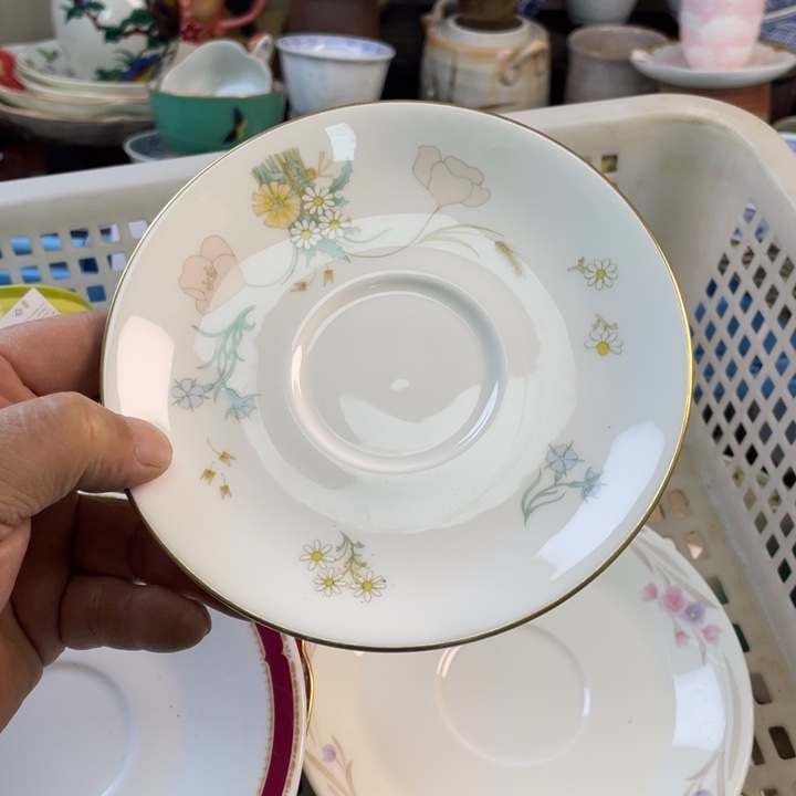 碟开播了开播了开播了