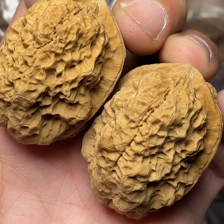 把件文玩核桃云南铁核桃38