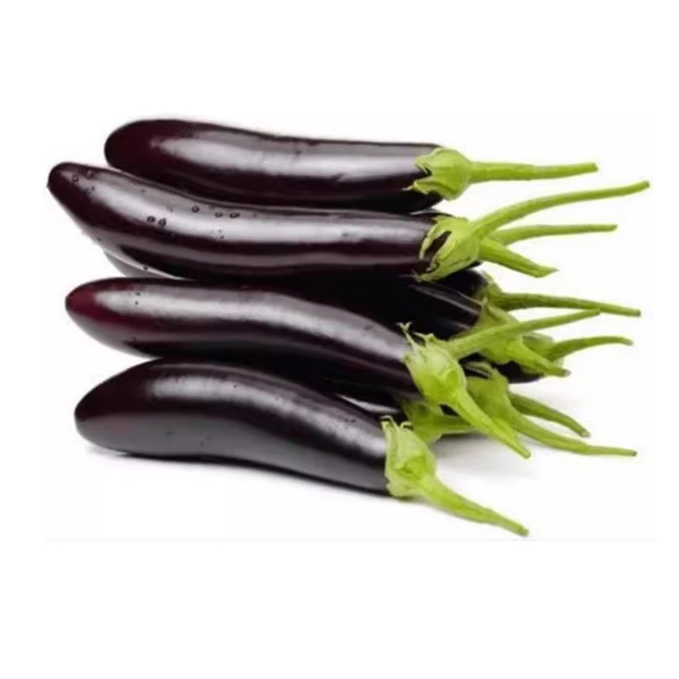 新鲜绿把茄子 2斤左右