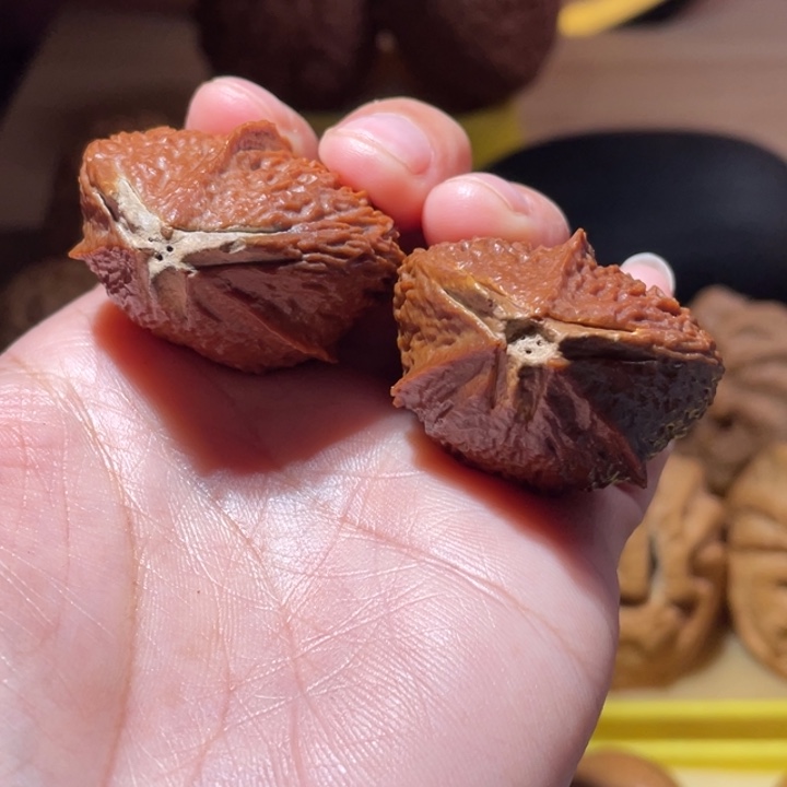 桃核把件异形七彩橄榄核