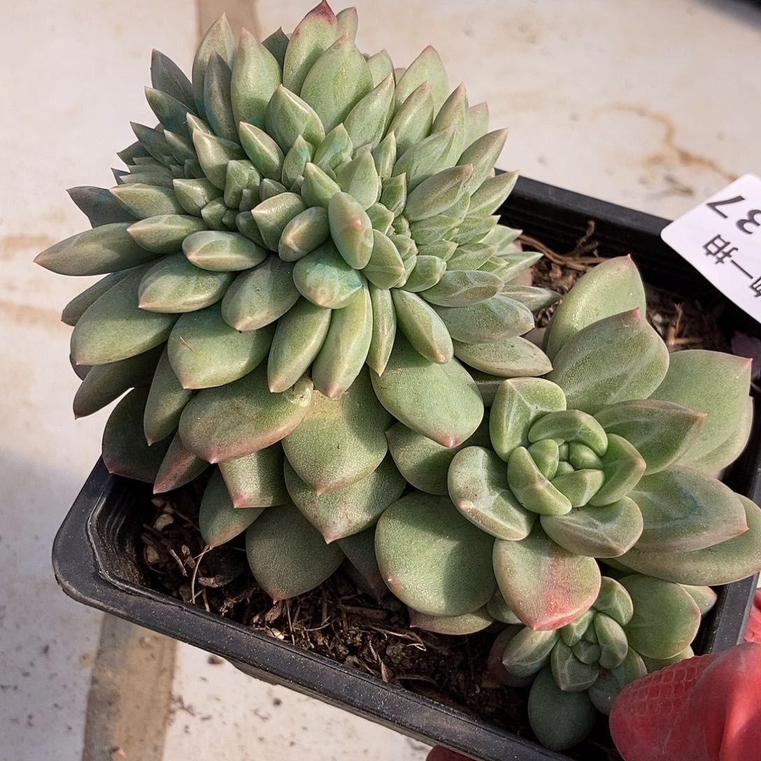 10-131 一物一拍不退不换退款拉黑