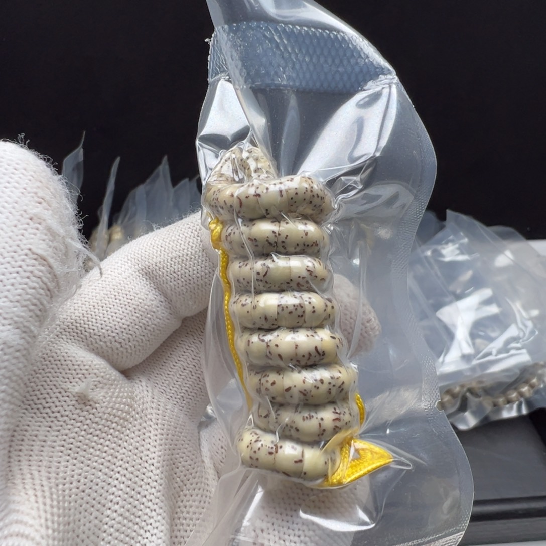 吊坠星月菩提星月大肠