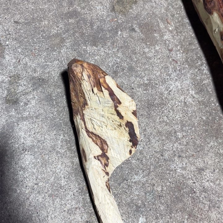 把件黄花梨/降香黄檀