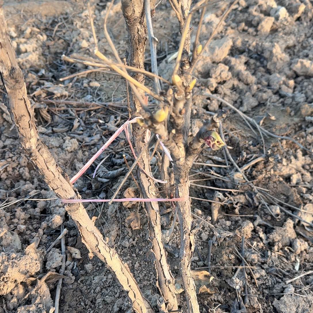 完全开放1111111111号