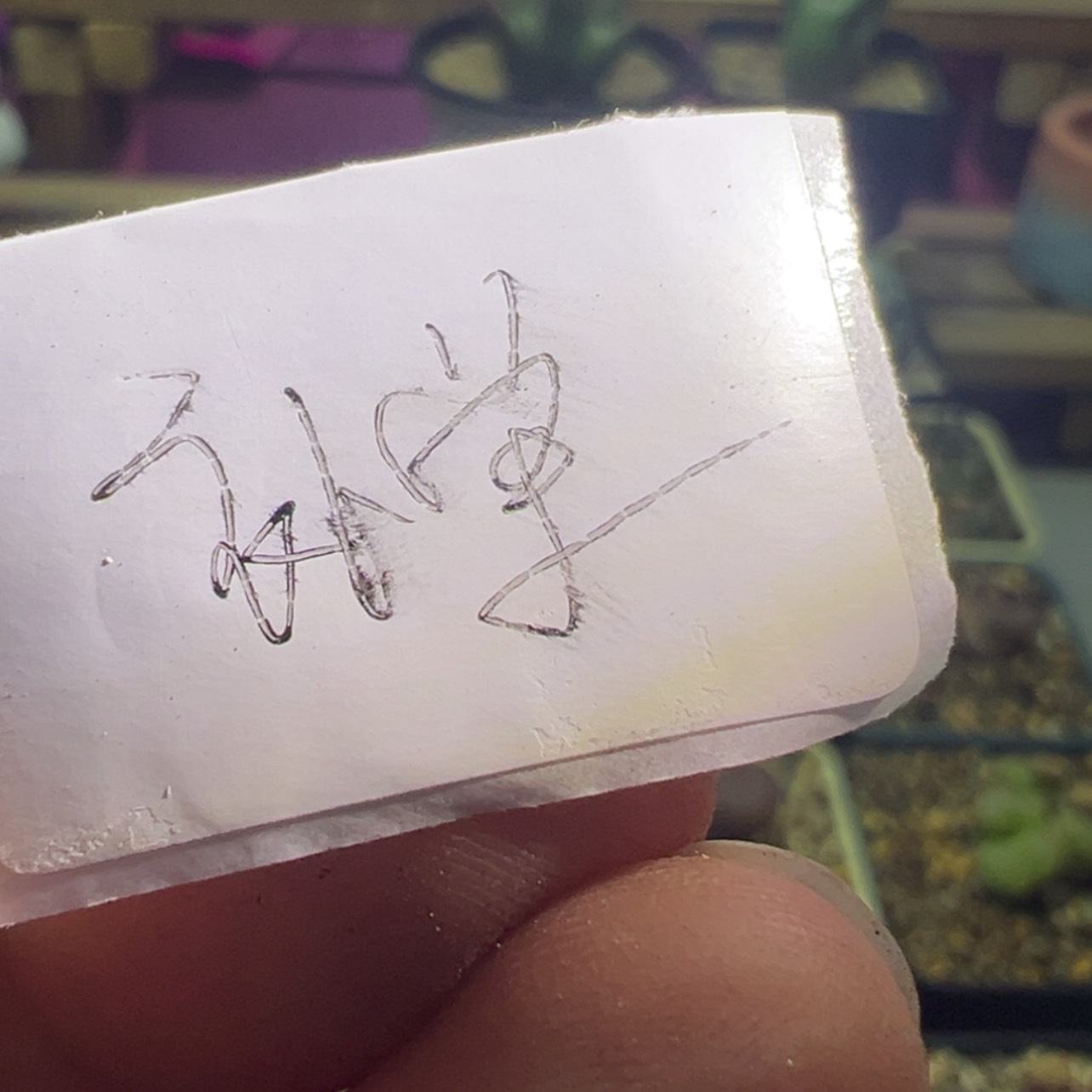 【闪购商品】问补欠款
