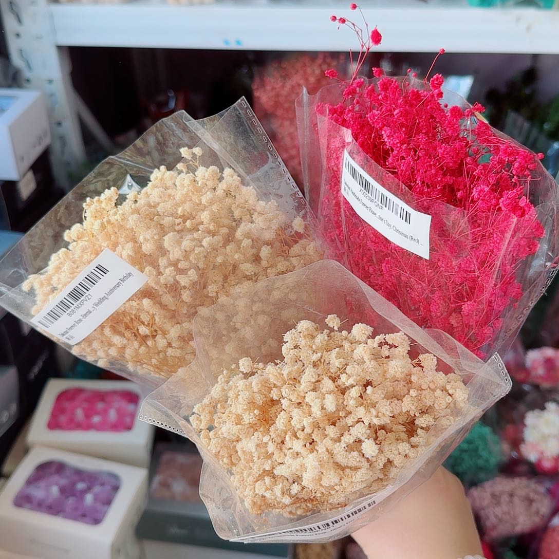 2米黄色1红色满天星3把