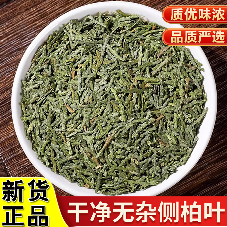 正品侧柏叶精选正宗新货侧柏叶干货扁柏叶搭配枸杞泡水泡茶滋补