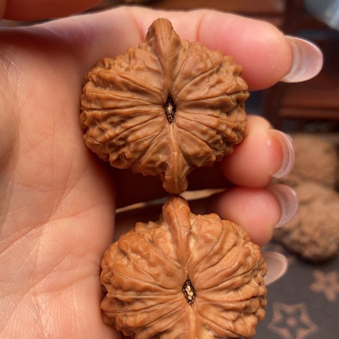 小***强大叶紫檀（黑酸枝木类）血麒麟