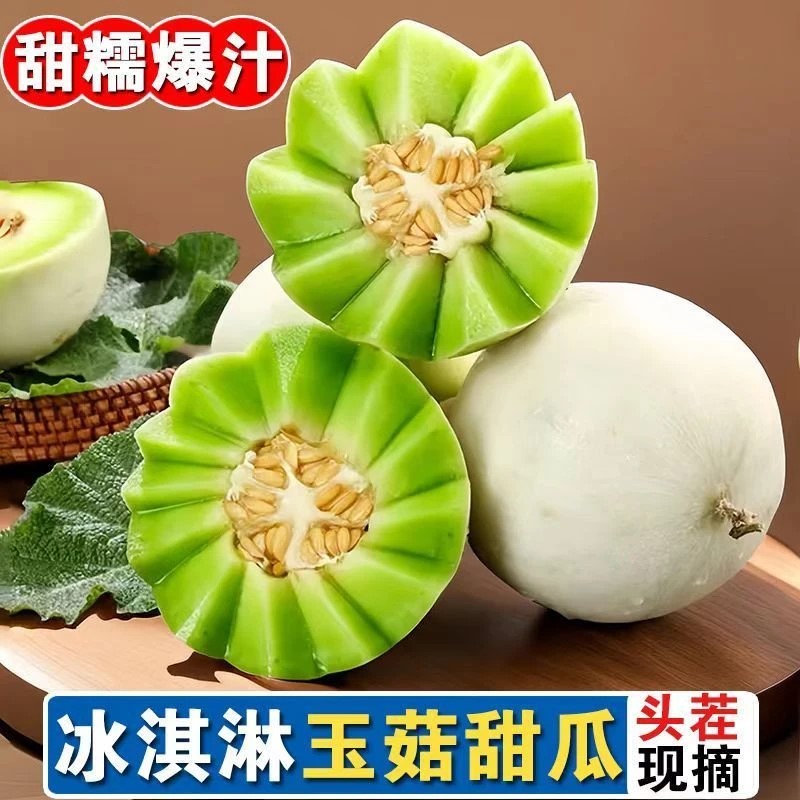 山东玉菇甜瓜 冰淇淋香瓜 当季头茬蜜瓜 新鲜水果 现摘现发非常甜