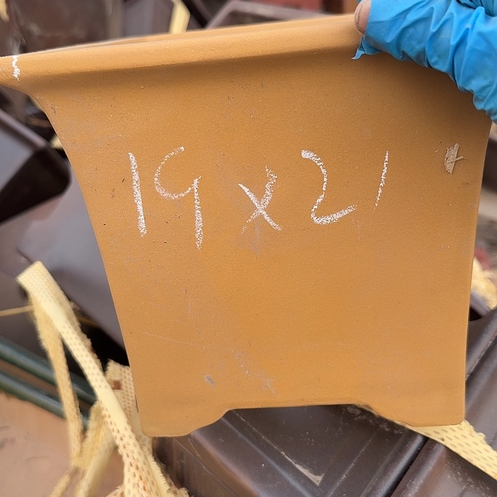 小吃也好吃哦小猫小狗的好心情