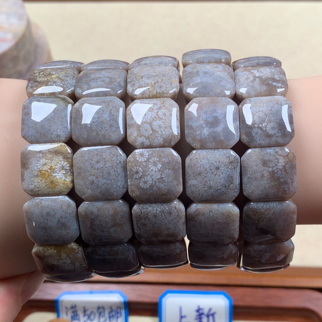 未镶嵌上新手排200/个，可挑。14硅化珊瑚（珊瑚玉）