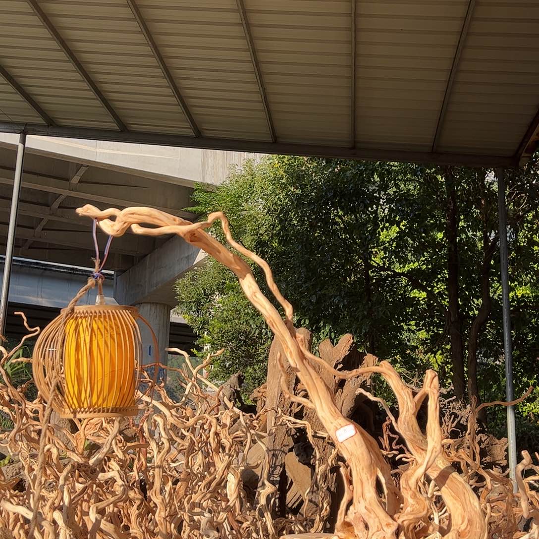 用***8木我是一只小小鸟地域的人