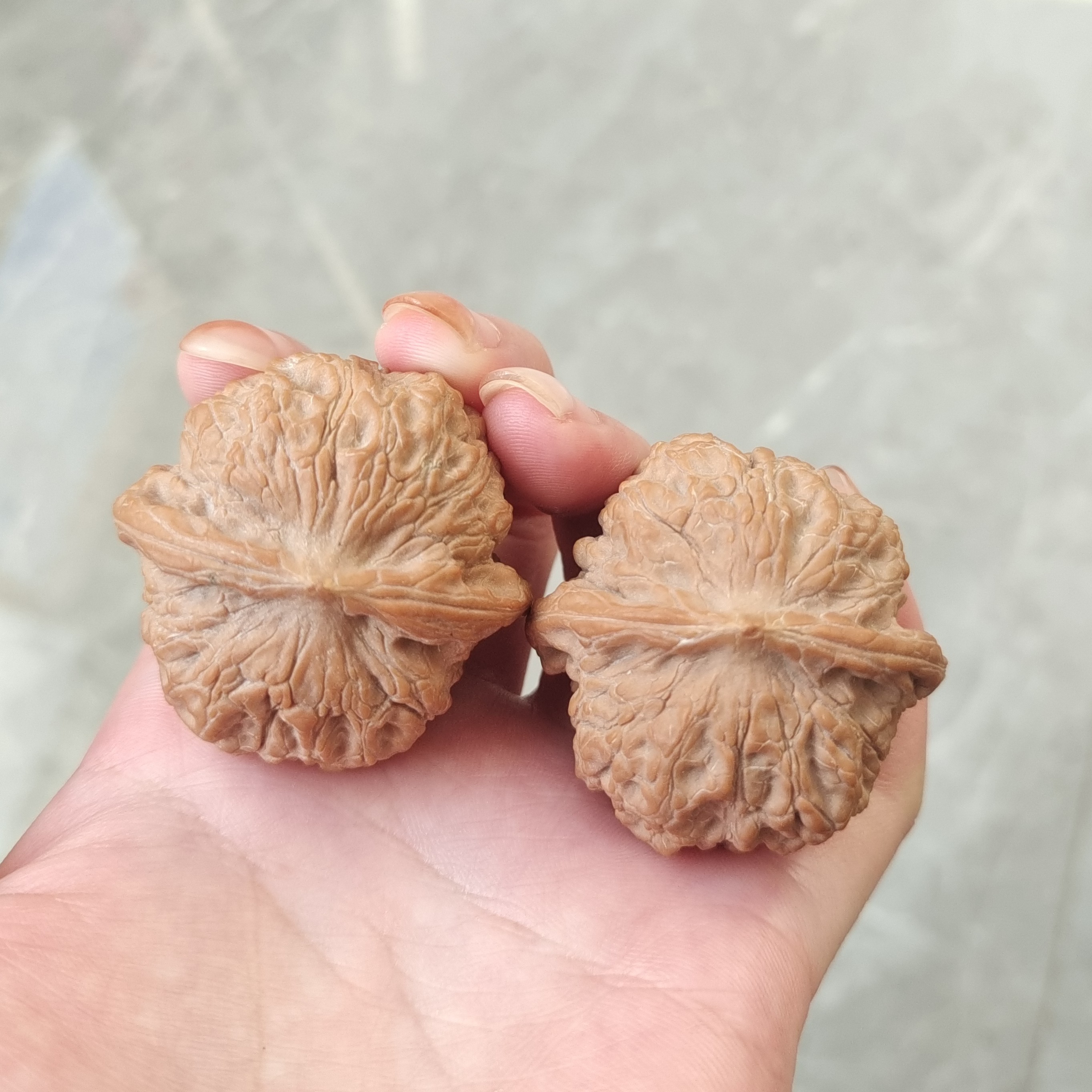 39+尺山地果血麒麟核桃24号