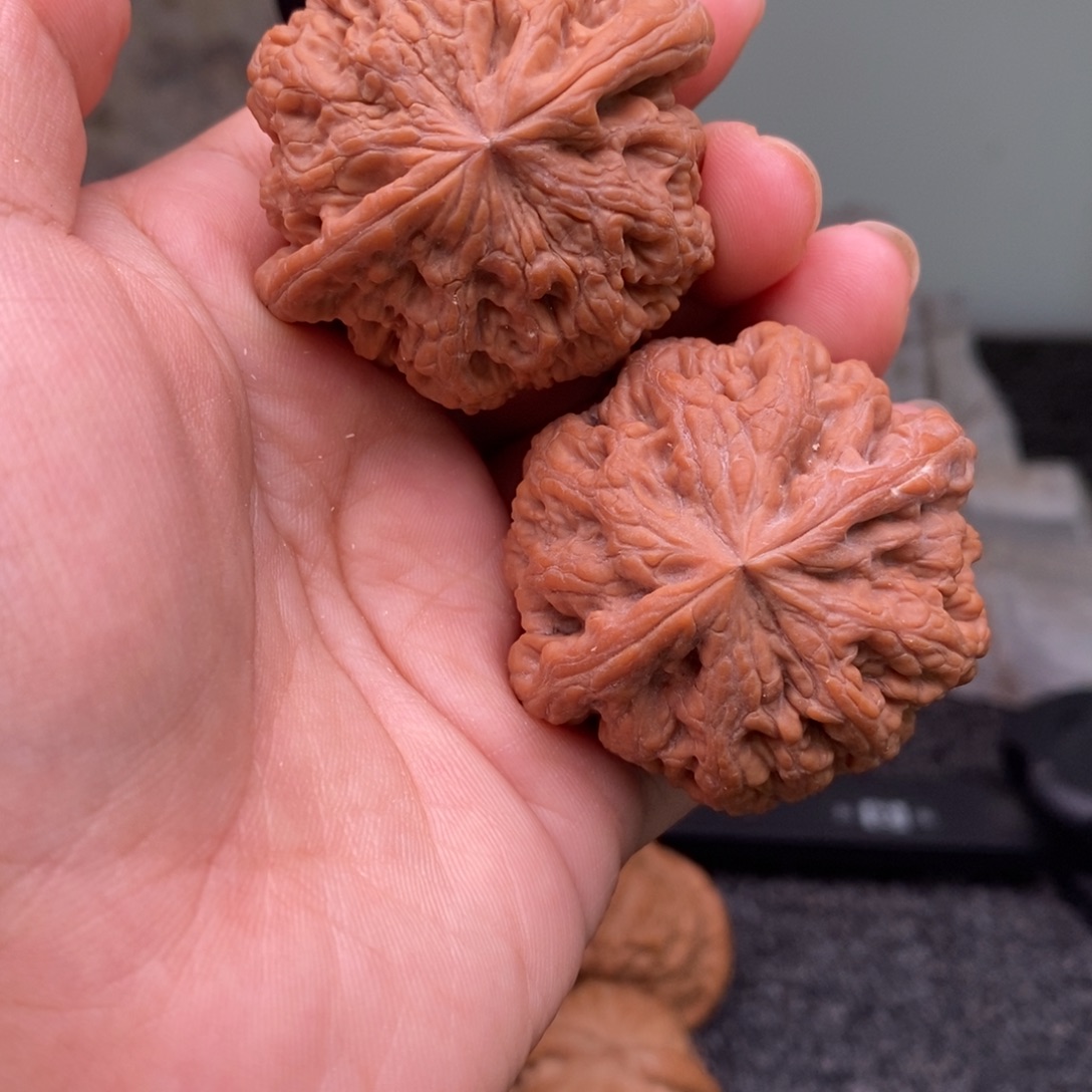 鹩***哥文玩核桃把件11111111111111